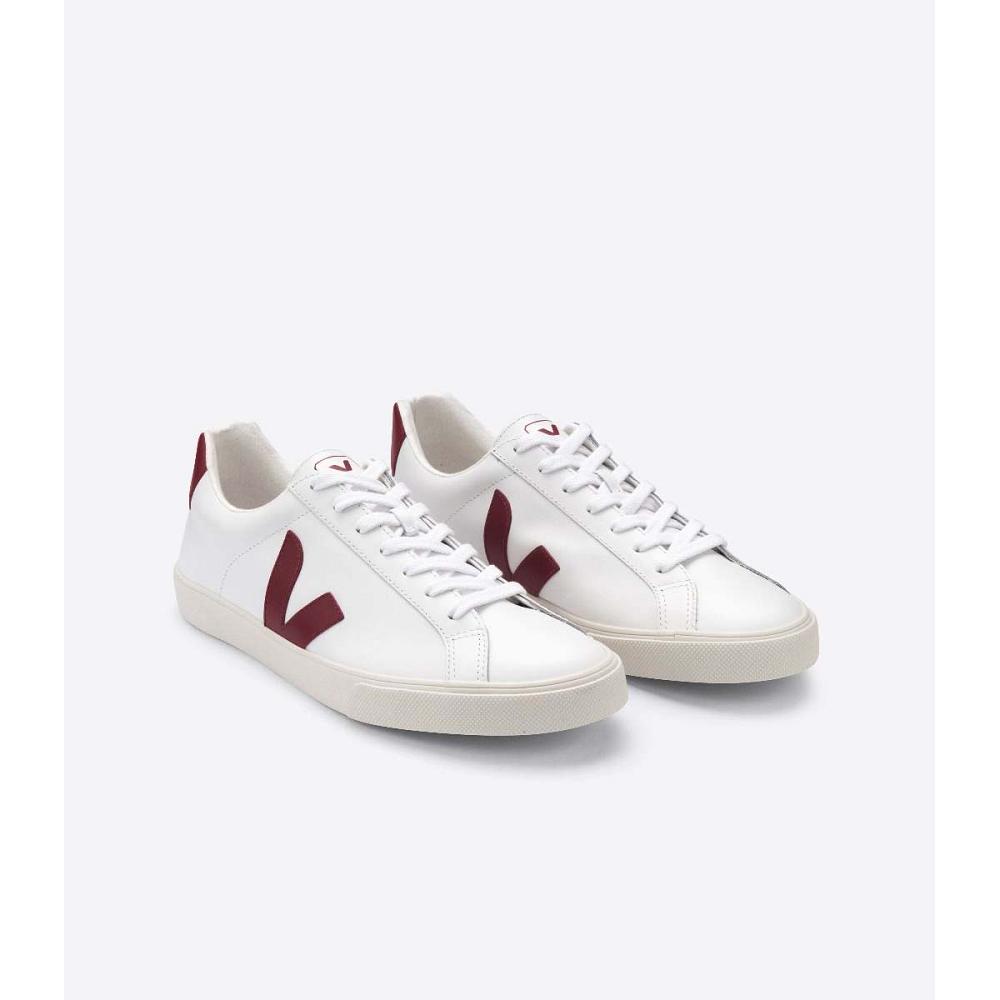 Αθλητικά Παπούτσια ανδρικα Veja ESPLAR LEATHER White/Red | GR 304XYU